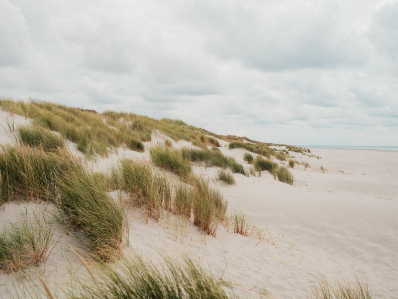 Duinlandschap met uitzicht op zee.