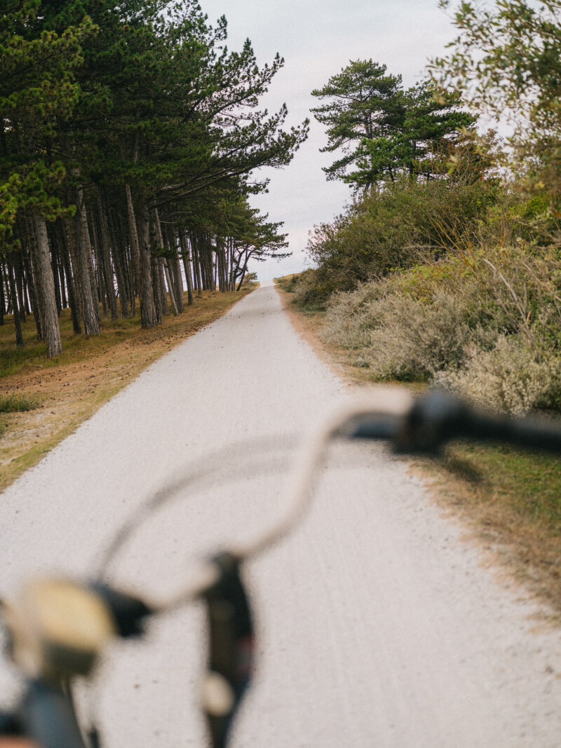 Fiets door de landschappen van Terschelling.